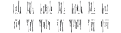 Say Your Piece Official Logo